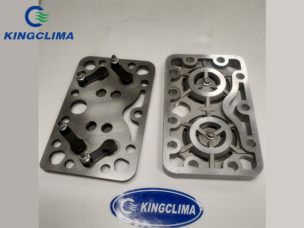 Valve plate set for FK 40 390/465/470/555/650/655 K